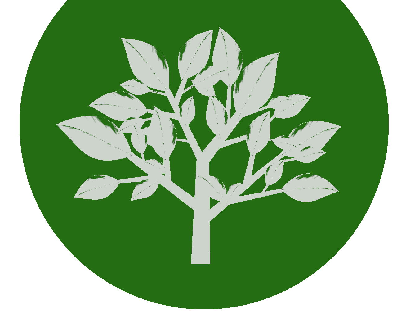 Baumlehrpfad