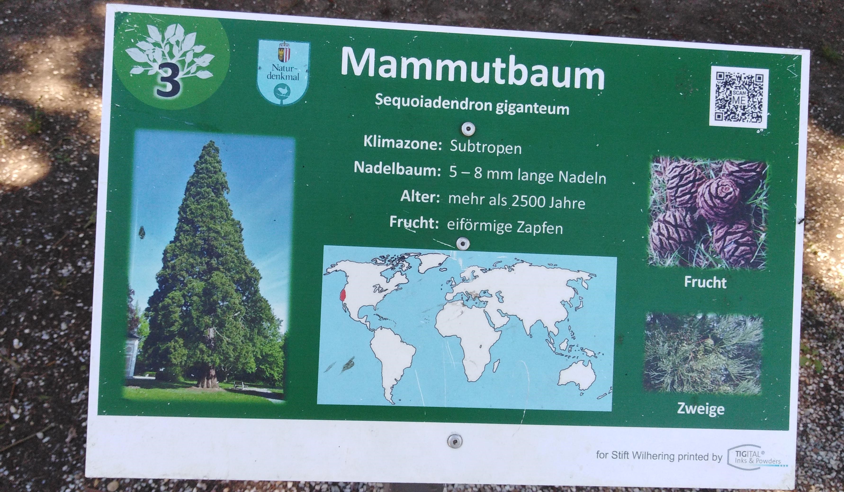 Schild im Baumlehrpfad
